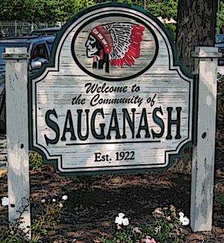 Welcome to Sauganash in Chicago