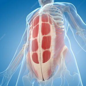 Hollow Holds for Core